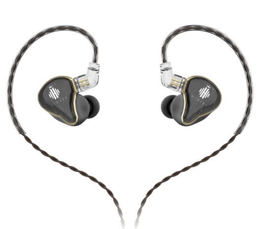 Hidizs MS4 HiFi In-Ear Monitor Earphones
