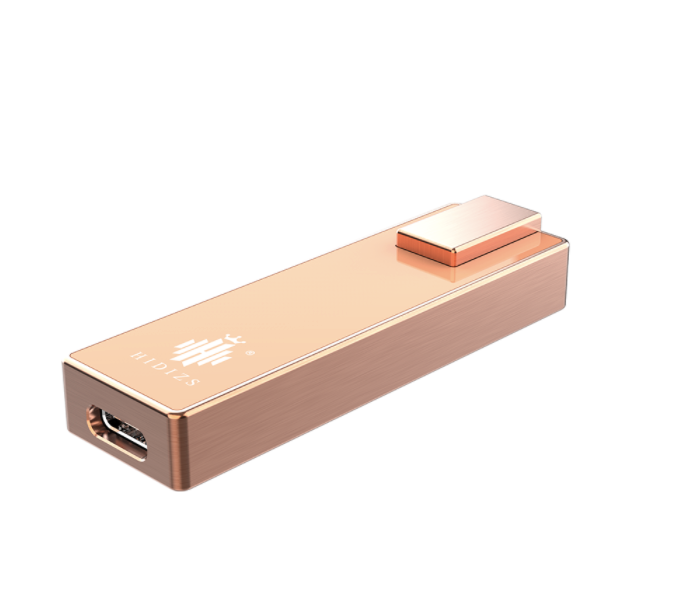 Hidizs S9pro 銅合金 + LT02 USB-C - iOS ケーブル