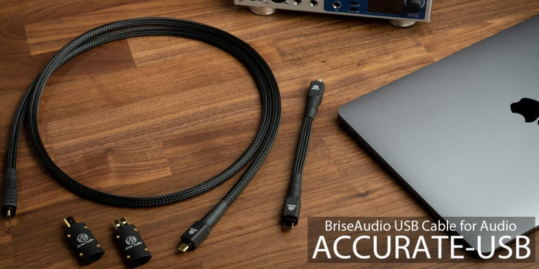 Brise Audio ACCURATE-USB USB 線（兼容 USB 2.0 規格）TYPE-C TO TYPE-C